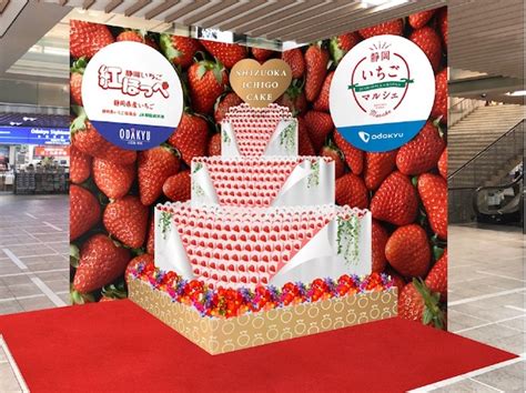 紅ほっぺを使った創作メニューが大集合！「静岡いちごマルシェ」開催 Michill Bygmo（ミチル）