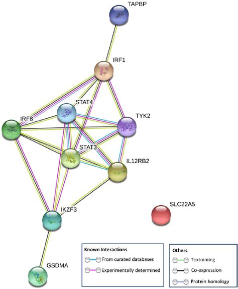 String Protein Protein Interaction Network Connectivity Among Genetic