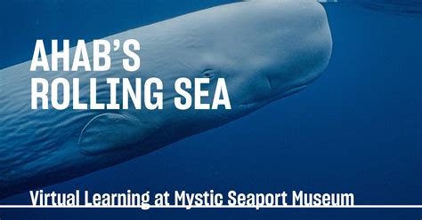 Ahabs Rolling Sea A Natural History Of Moby Dick Mystic Seaport Stories