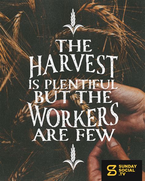 The Harvest Is Plentiful But The Workers Are Few Matthew 9 37