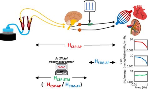 Figure 1 from Closed-Loop Neuromodulation Technology for Baroreflex ...