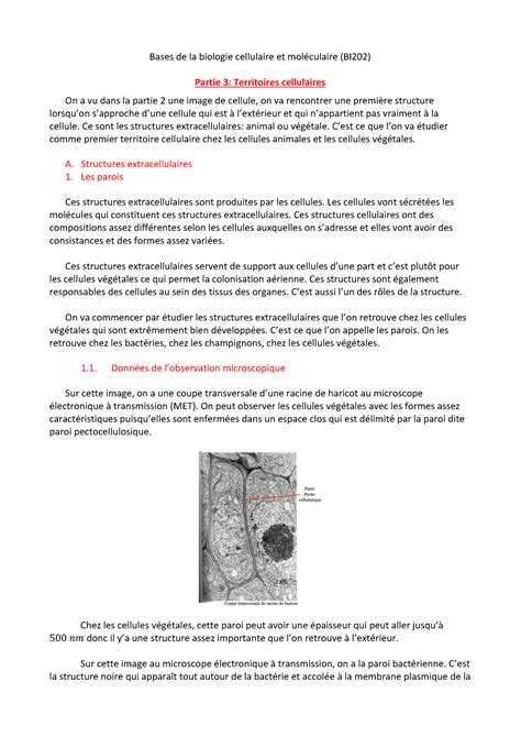 Partie 3 Bi202 2 Chapitre 3 Bases De La Biologie Cellulaire Et Moléculaire Bi202 Partie 3