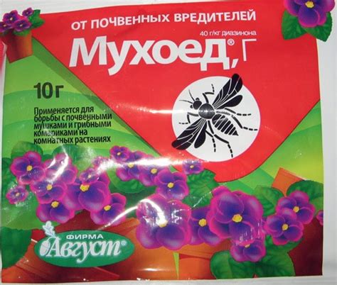 Избавляемся от мушек на комнатных растениях