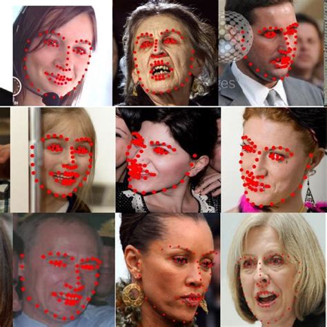 Sample Facial Landmark Detection Results Download Scientific Diagram