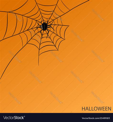 Spider On Web On Halloween Orange Background Vector Image