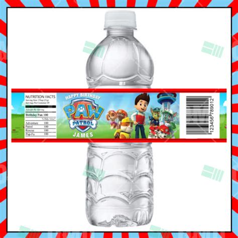 Paw Patrol Cartoon Party Popcorn Boxes Cartoon Invites