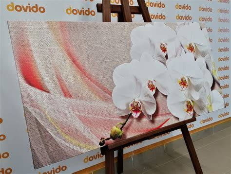 Wandbild Wei E Orchidee Auf Leinwand Dovido De