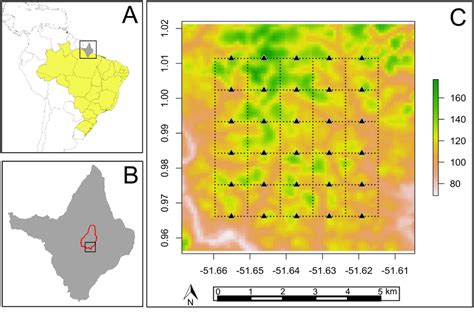 Location Of The Study Region In The Amapá National Forest Anf Amapá