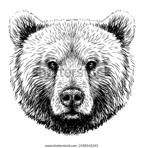 Grizzly Bear Face Outline