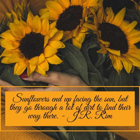 Beautiful Sunflower Quotes Sayings Puns And Memes To Make Your Day