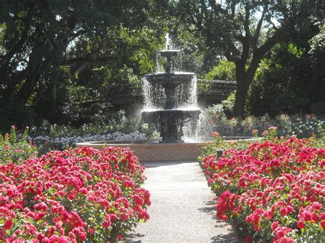 Bellingrath Garden Trees Trees To Plant Sweet Home Alabama Garden