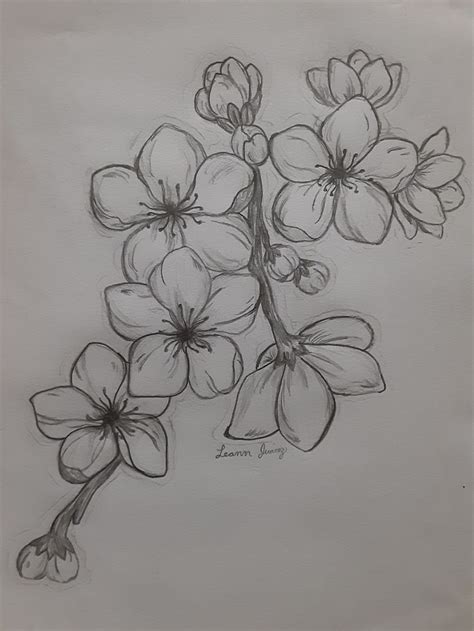 Pin By Nell Gomanne On Dessin In Flower Art Drawing Art