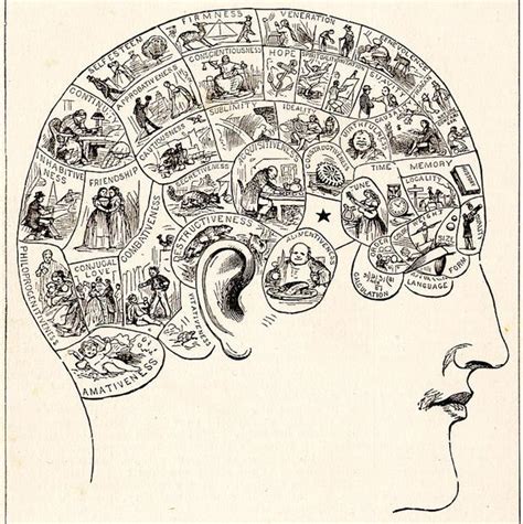 Historia De La Neurociencia Resumen Cronológico Sbagses