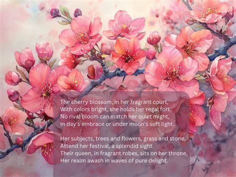 Cherry Blossom Poem Japanese