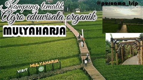 Visit Mulyaharja Bogor Kampung Tematik Agro Eduwisata Organik