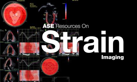 american society  echocardiography  linkedin strain imaging resources