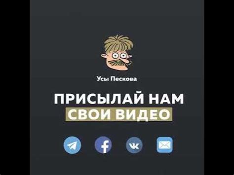 Папа, не пей! - YouTube