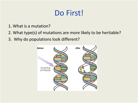 SOLUTION: Geneticsevolution natural selection genetic drift and gene ...