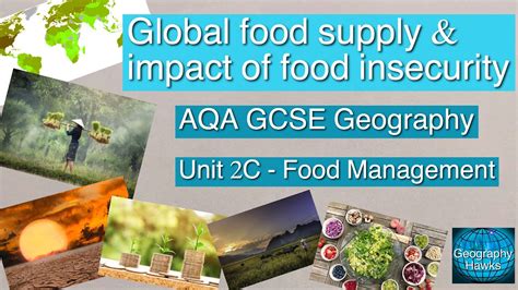 Global Food Supply The Impact Of Food Insecurity AQA GCSE Geography