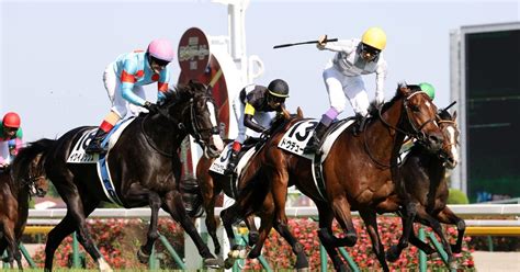 【有料レポート 競馬番組理論】優駿牝馬 オークス ＋ 東京優駿 日本ダービー 2023｜マヤノタバラの競馬道 ～競馬番組解読～