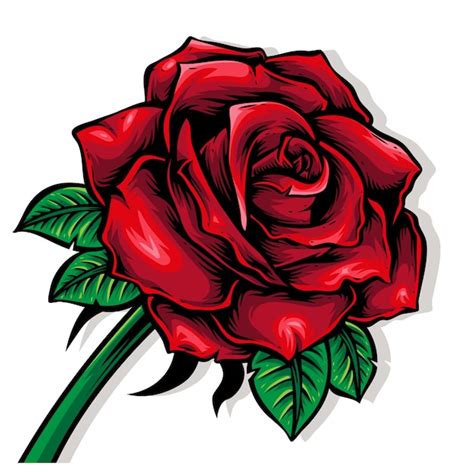 Premium Vector Red Rose With Leaf Illustration