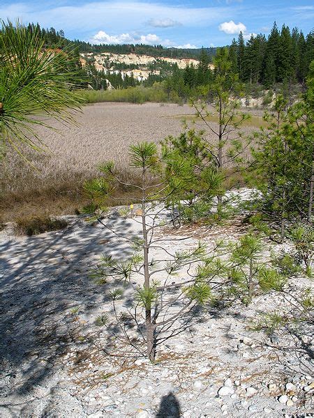 Malakoff Diggins Shp Image Gallery Vacation Trips State Parks