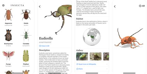 Arquivo Para Insecta Macmagazine