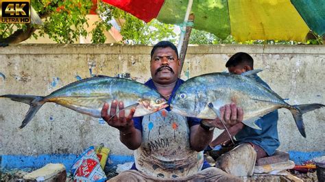 Kasimedu Speed Selvam Trevally Fish Cutting Video K Video In