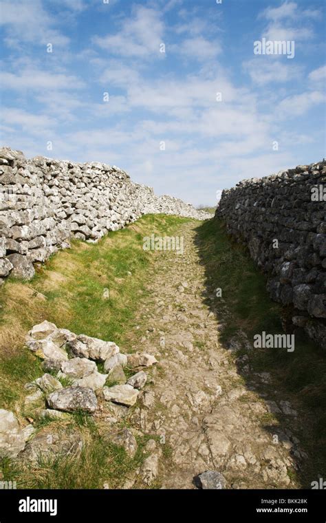 Dry Stone Walls Yorkshire Dales Drystone Iconic Hi Res Stock