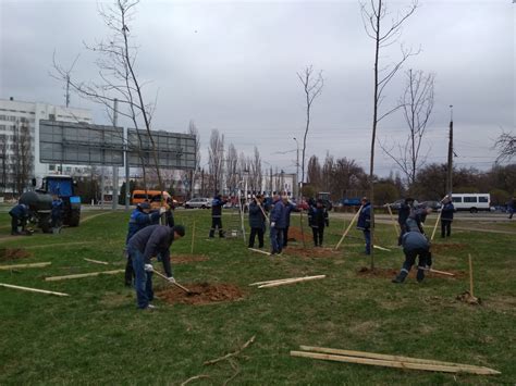 Озеленение города Гомеля - ФИЛИАЛ "ГОРЭЛЕКТРОТРАНСПОРТ" ОАО ...