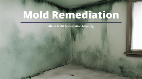 Mold Remediation Meaning Methods And More Akdea