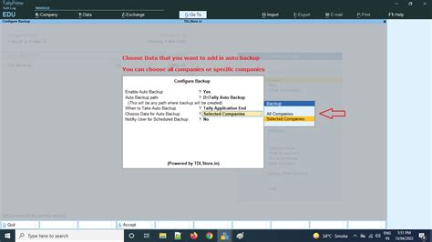 No1 Tdl For Tally Auto Backup Secure Your Tally Data Now