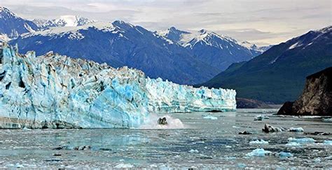 Hubbard Glacier - Alaska Limanı Bilgi ve Turları