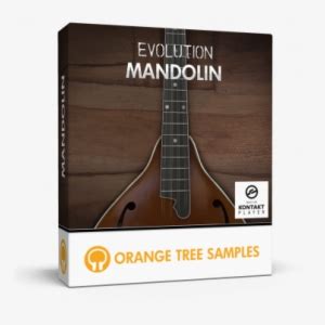 Evolution Mandolin Orange Tree Samples Evolution Rock Standard