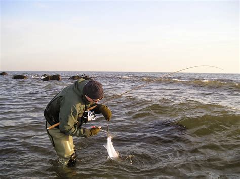 Fiskedagbog Dk Fiskedags