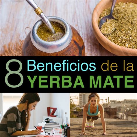 Beneficios De La Yerba Mate La Guia De Las Vitaminas