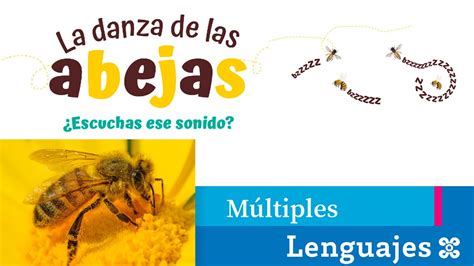 La Danza De Las Abejas Youtube