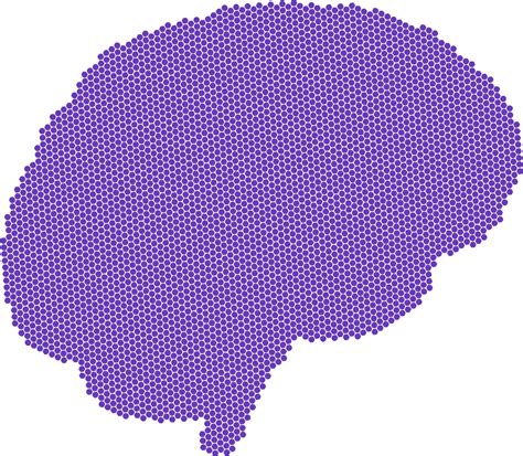 SVG > brain medicine anatomy - Free SVG Image & Icon. | SVG Silh