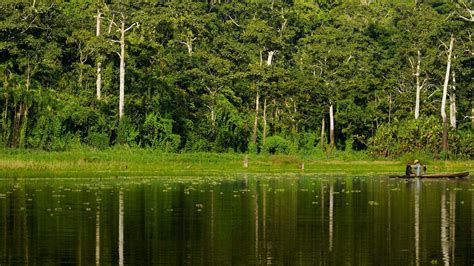 Reserva Nacional Pacaya Samiria El Segundo Mejor Lugar Para