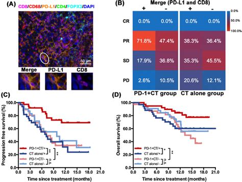 Predictive Value Of Cd Pdl Coexpression In Camrelizumab Plus