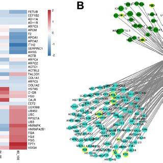 The Expression Of Hub Genes And Transcription Factor TF Regulatory