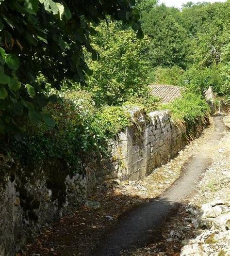 Marche et relaxation décélération entre Vienne et Deux Sèvres