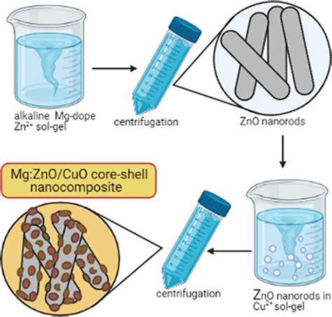 Schematic Illustration And Growth Process Of N Mg ZnO P CuO Core Shell