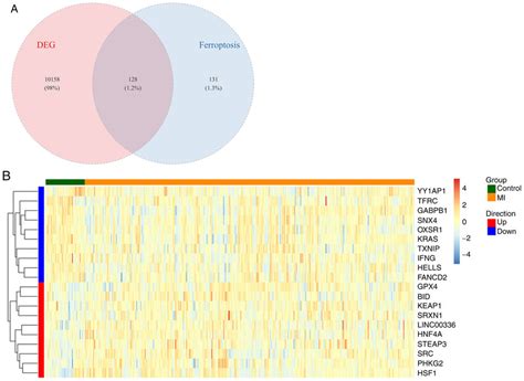 Ferroptosis Related Degs A Venn Diagram Showing The Overlap Between Download Scientific