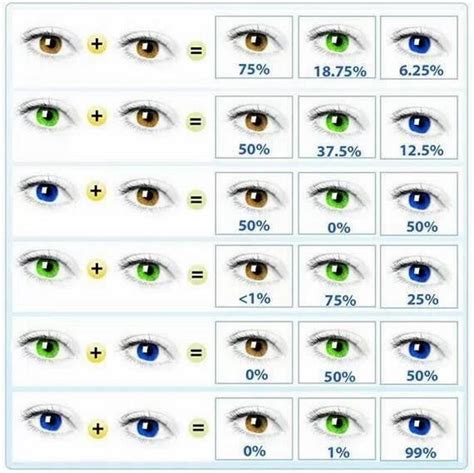 Eye Color Chart For Kids Eye Color Photos | Images and Photos finder