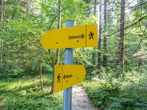 Exploring Zelenci Nature Reserve, Kranjska Gora | Slovenia - KoTravellers