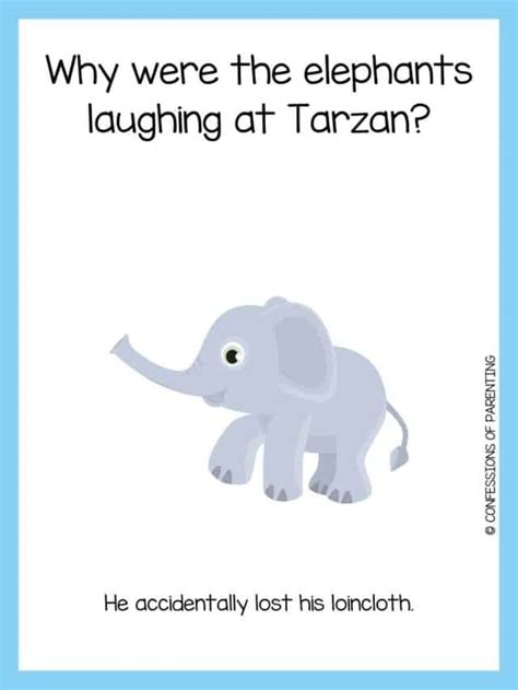 115 Funny Elephant Jokes That Make You LOL