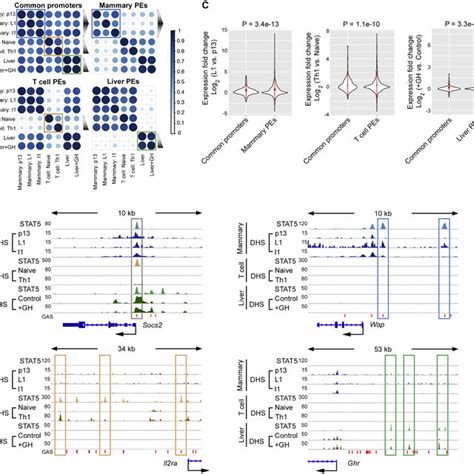 Identification Of Shared And Lineage Specific STAT5 Binding Sites