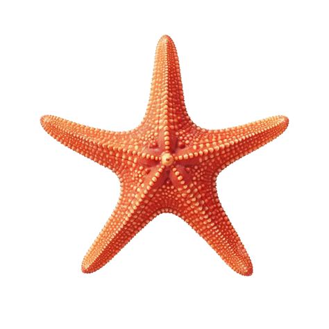 Estrela Do Mar Png Com Ia Gerada Png Aquático Peixe De Praia Png Imagem Para Download Gratuito