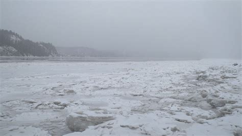 Sur La Piste Des Caribous